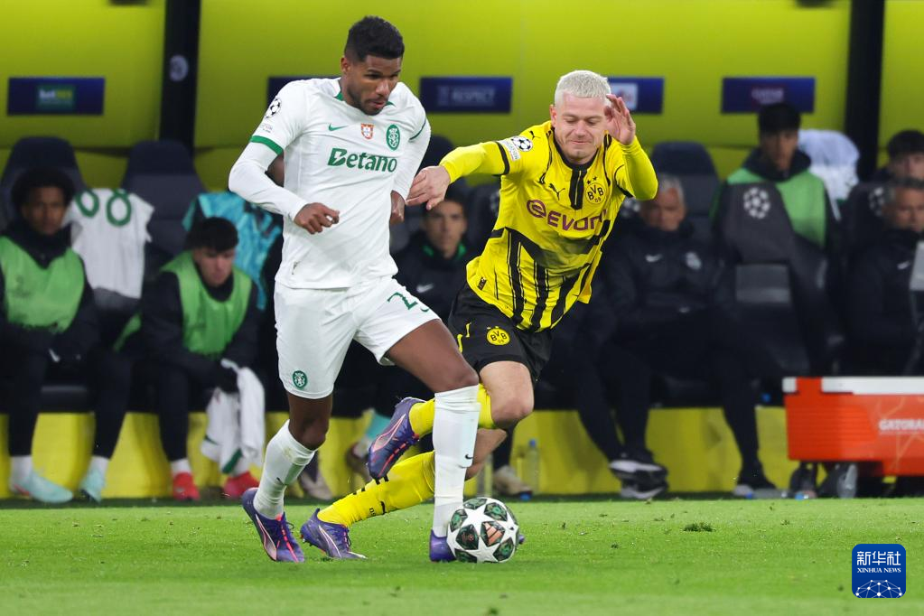 关于清晨葡超传出新动向，多特蒙德防线松动，管理层表态：震撼外界，年轻球员得到机会的信息